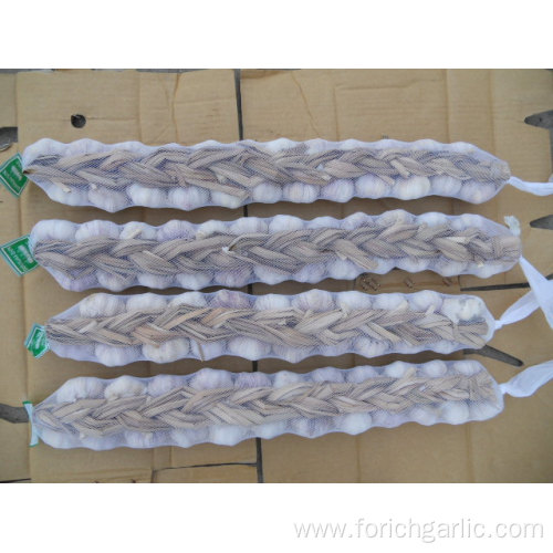 Jinxiang Garlic Braids In 30cm-60cm Length